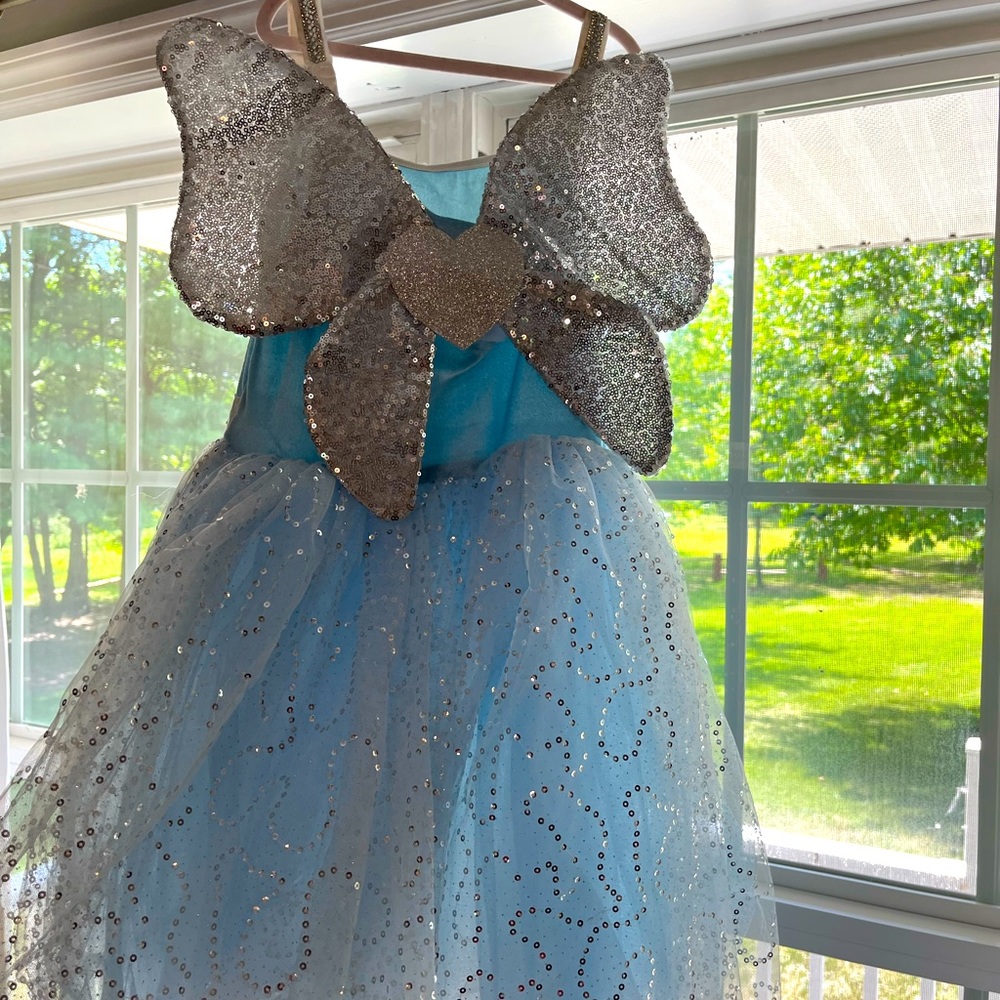 Fairy princess costume